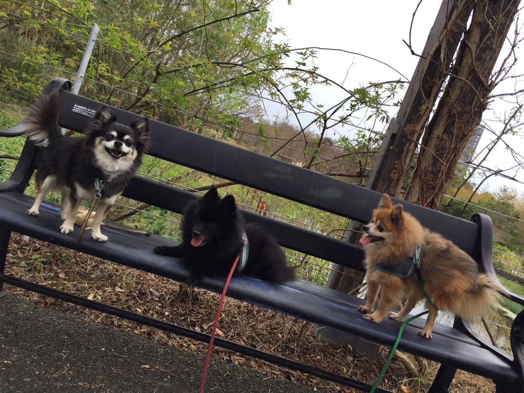 むぎまんま様確認用。