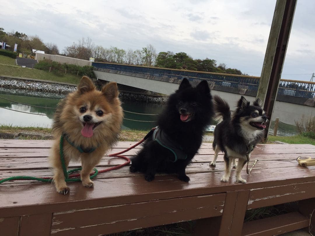 むぎまんま様確認用。