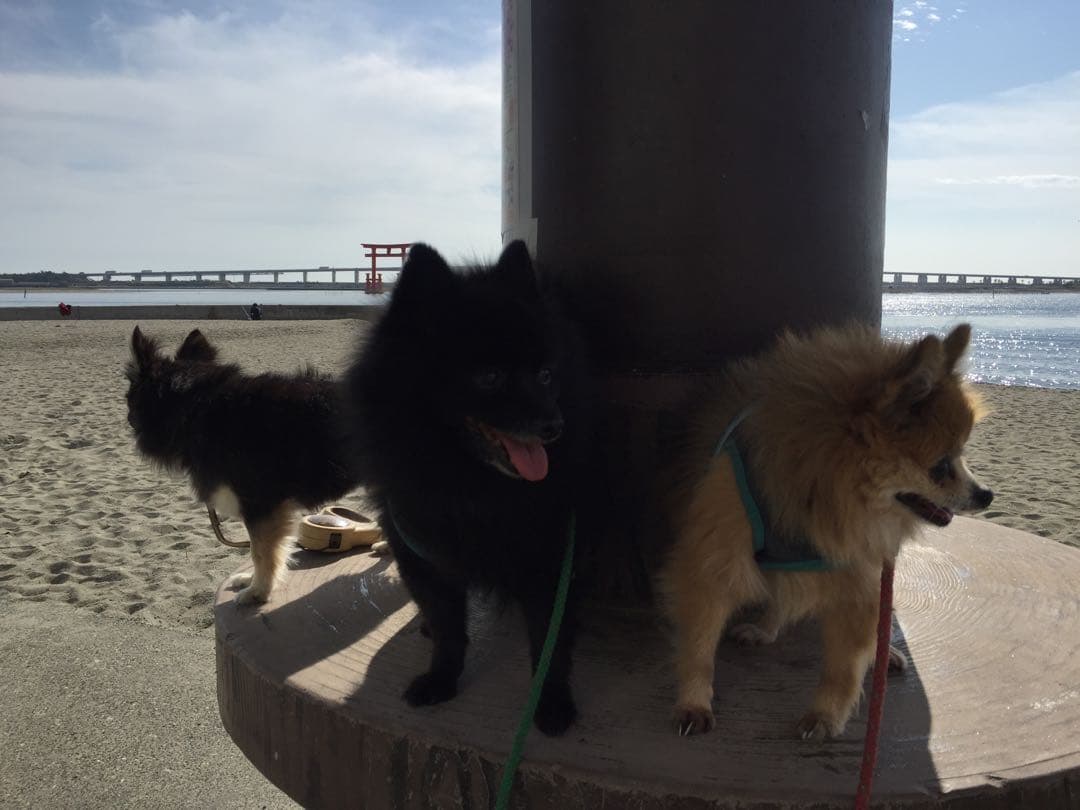 むぎまんま様確認用。