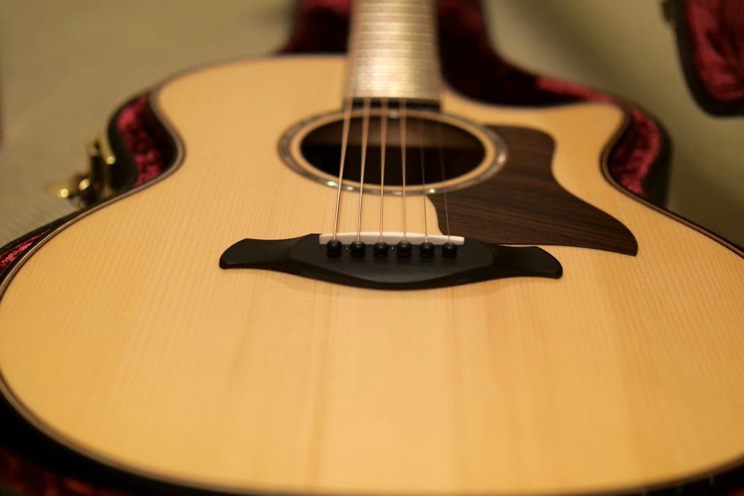 【早い者勝ち】　Taylor Builder’s Edition 814ce