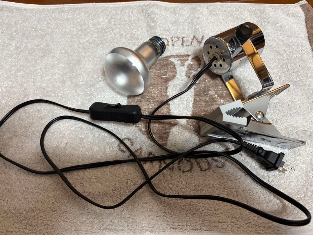 爬虫類飼育セット（爬虫類飼育ガラスケージセット）