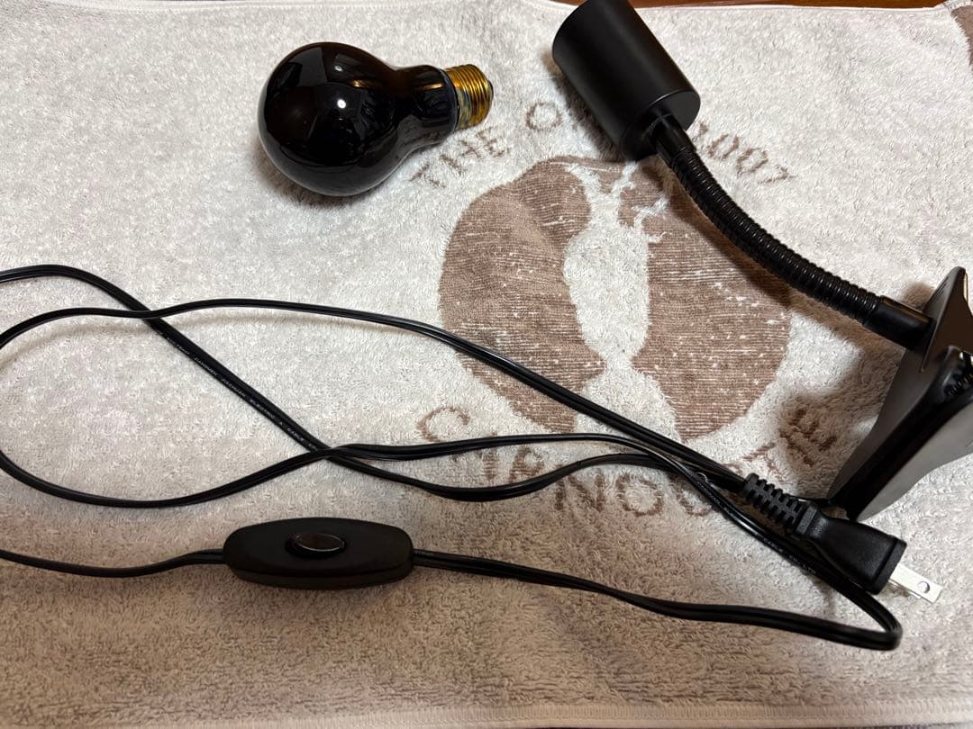 爬虫類飼育セット（爬虫類飼育ガラスケージセット）