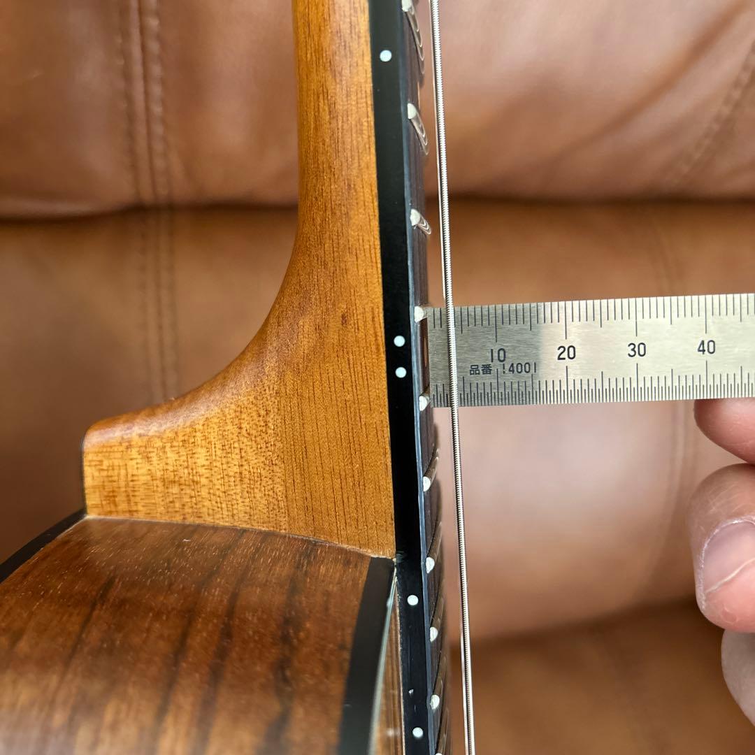 Ibanez EWP14WB-OPN ピッコロギター