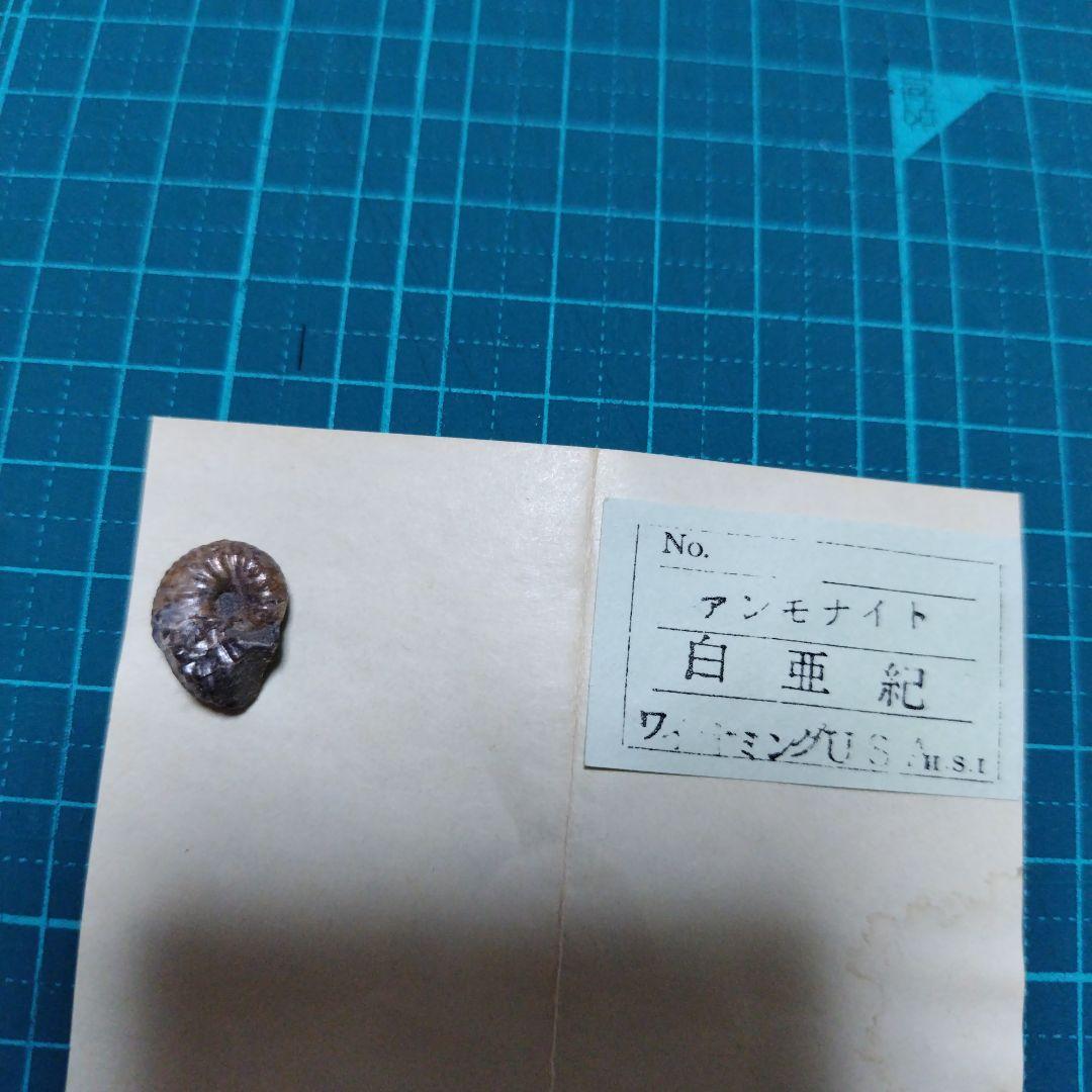 即購入⭕超お買い得 天然石おまとめ（フローライト、蛍石、ストロベリークォーツ 他