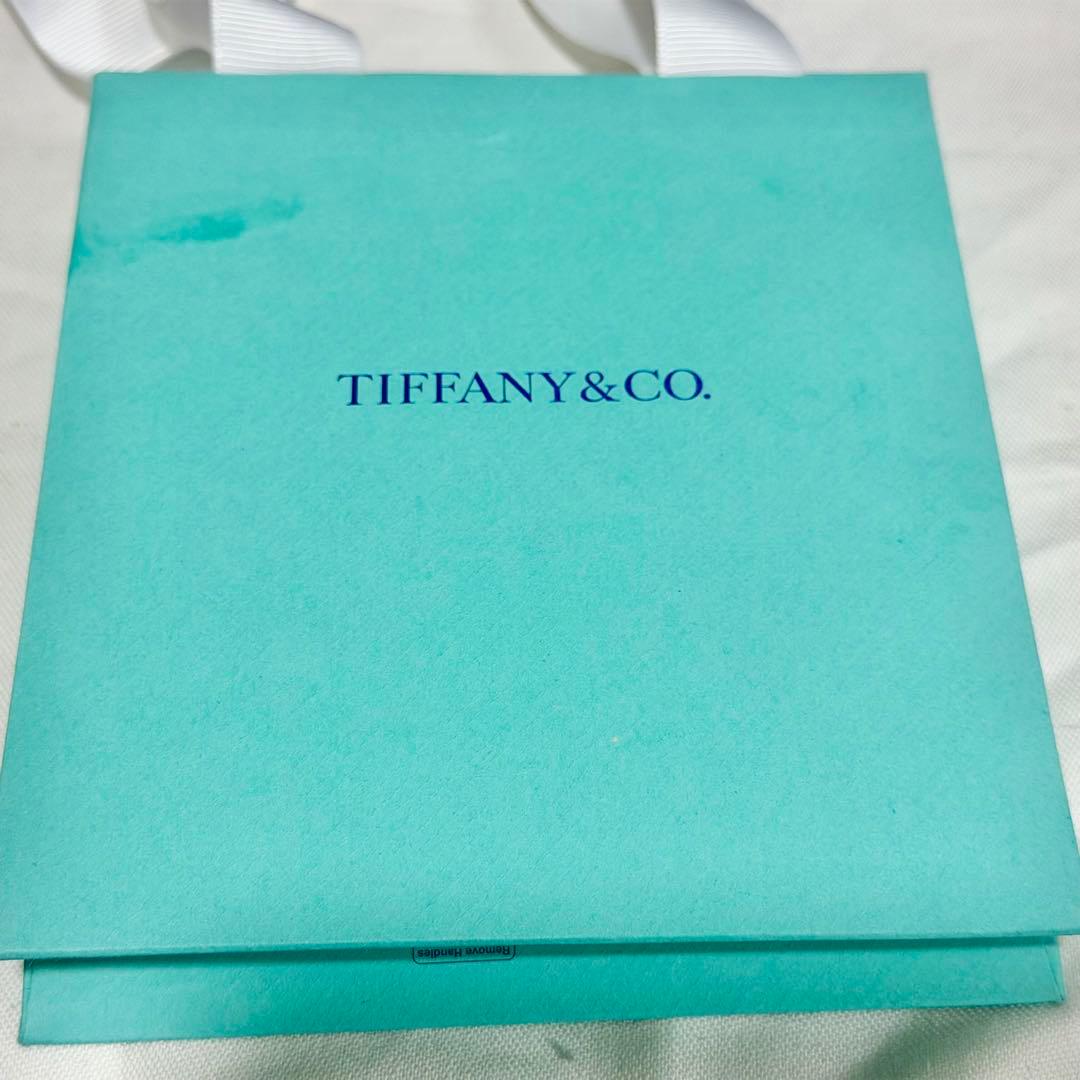 【確実正規品】Tiffany ティファニー　Tチェーン　 Tナローブレスレット