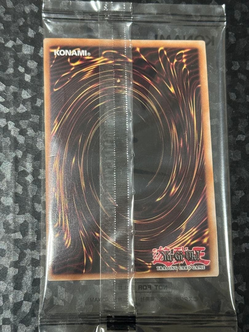 2025年日本選手権プロモ2種