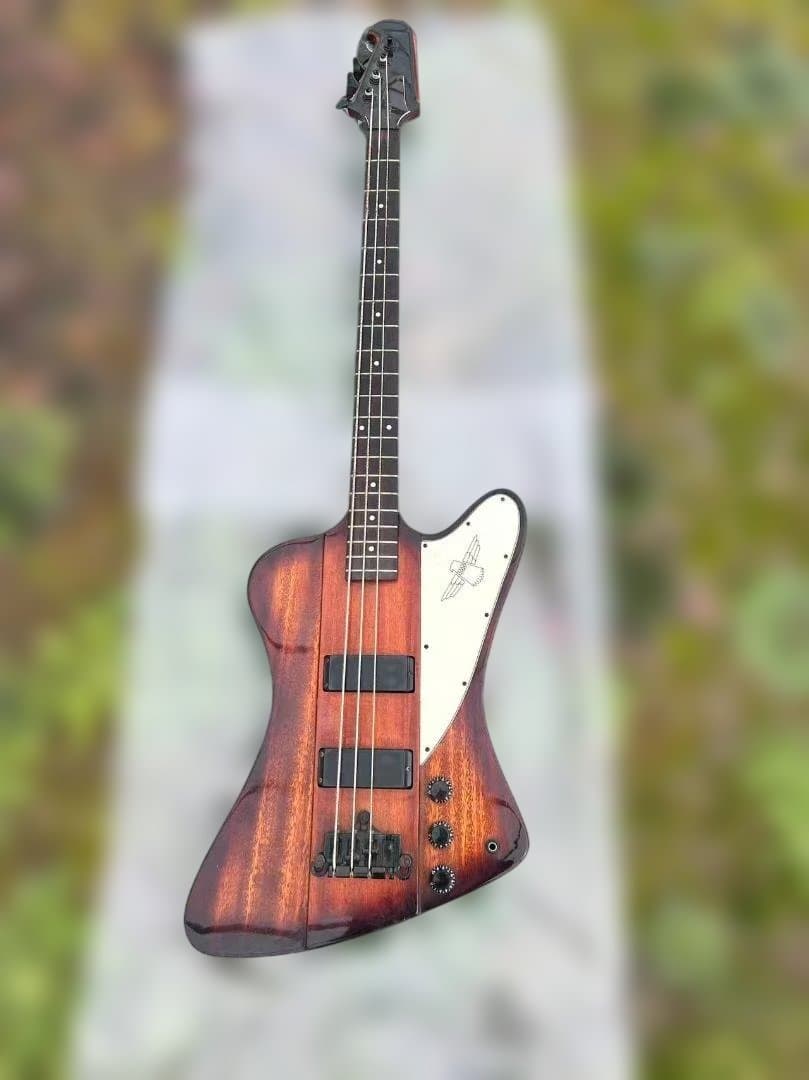 ク*コ様 Epiphone エピフォン　thunderbird サンダーバード