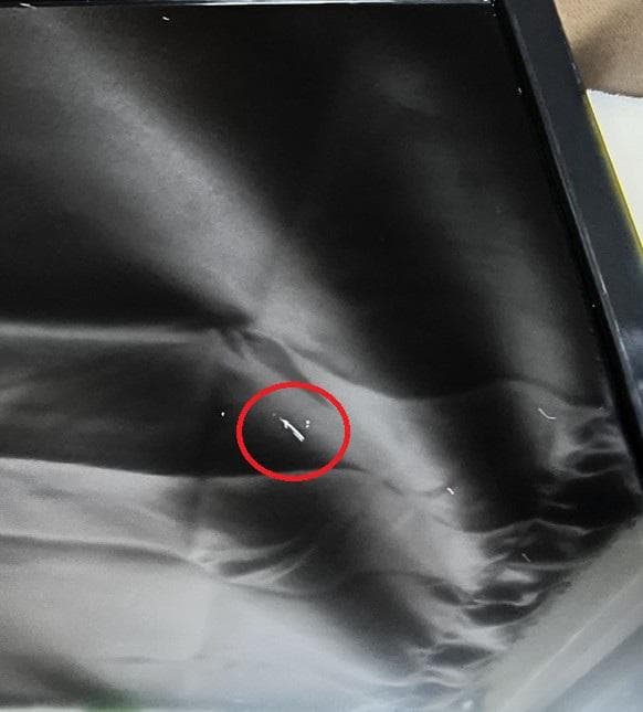 TOSHIBA　東芝　液晶テレビ　REGZA　レグザ　24S22　20年製