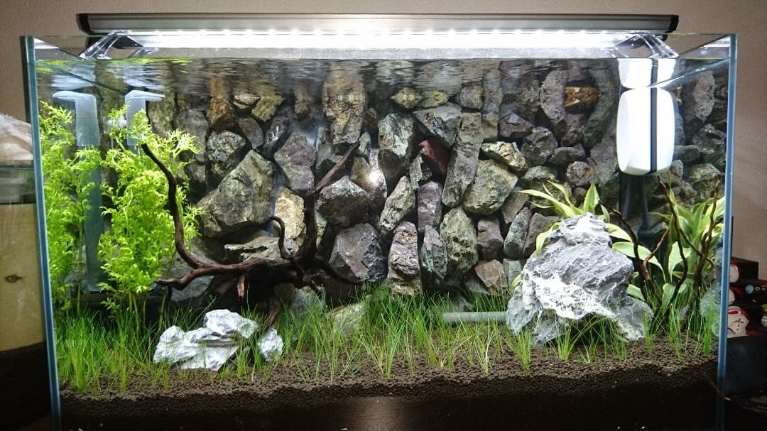 超貴重！60ｃｍ水槽用リアルバックスクリーン