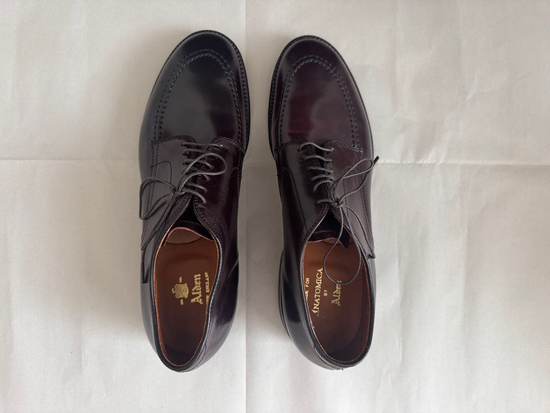 新品 ALDEN オールデン 5610 Anatomica コードバン8D