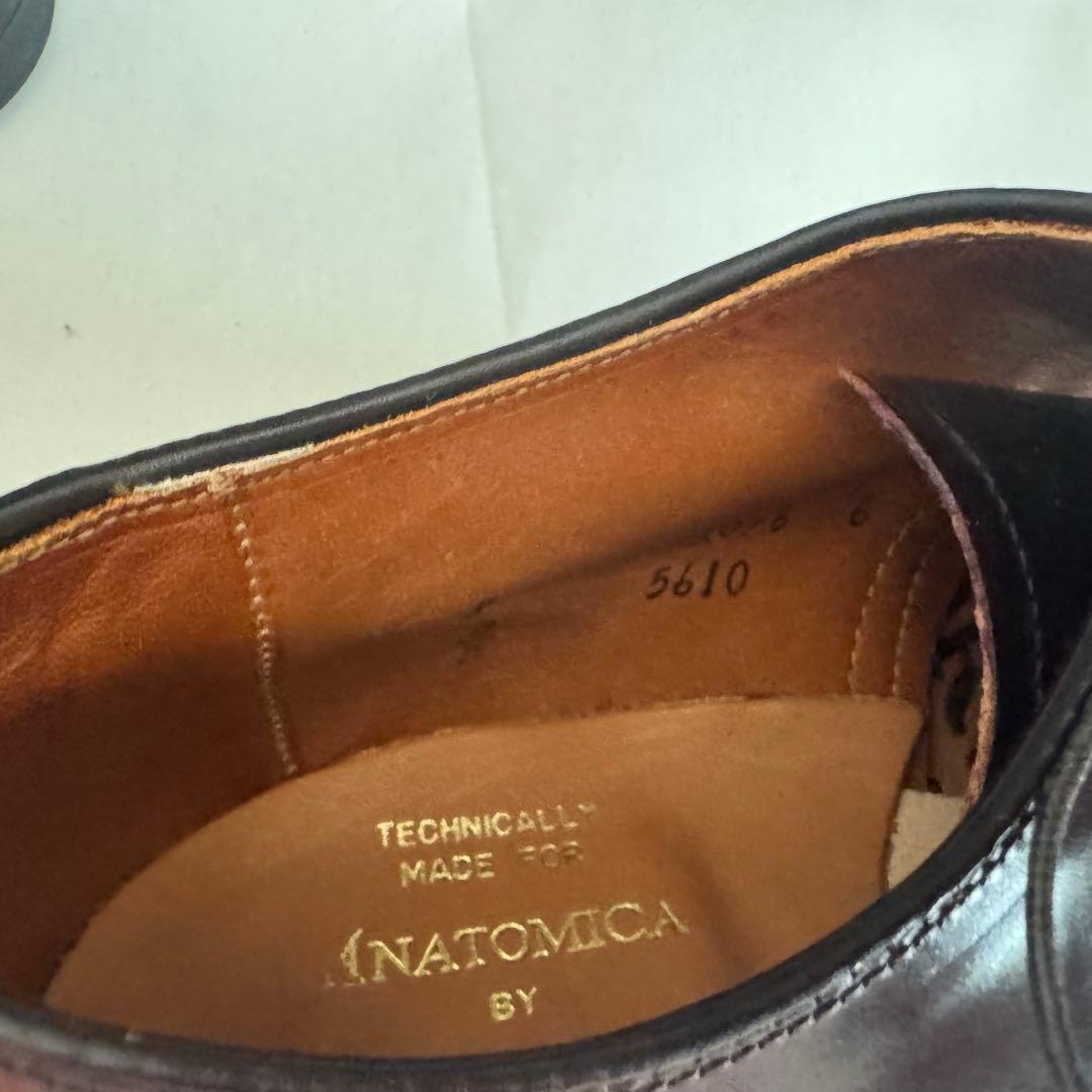 新品 ALDEN オールデン 5610 Anatomica コードバン8D