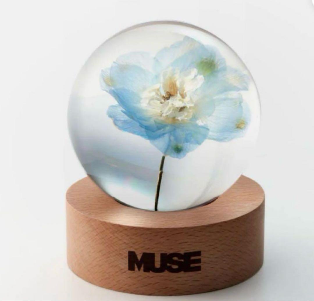 JIMIN MUSE ペーパーウェイト＊