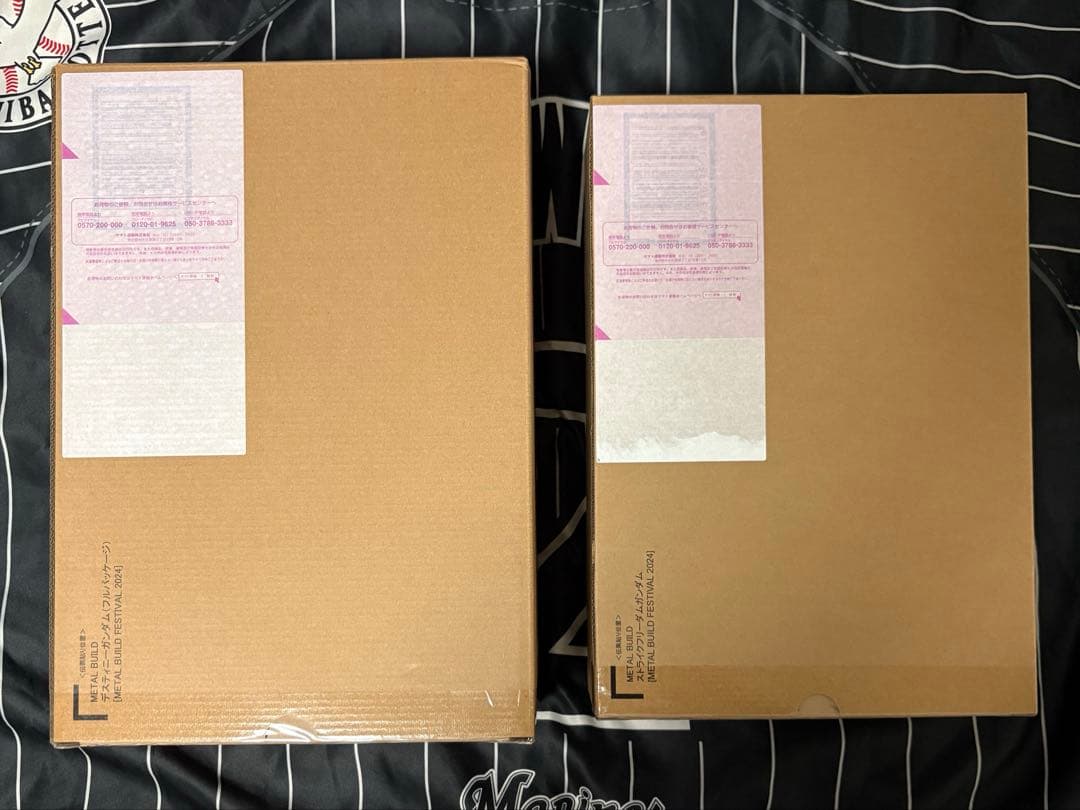 メタルビルド ストライクフリーダムガンダム デスティニーガンダム 光の翼セット