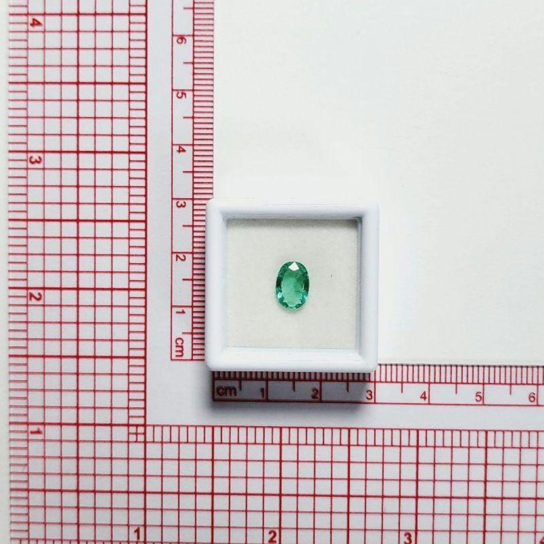 《sabotenさま専用》ルースケース【20個×2セット】黒 3cm