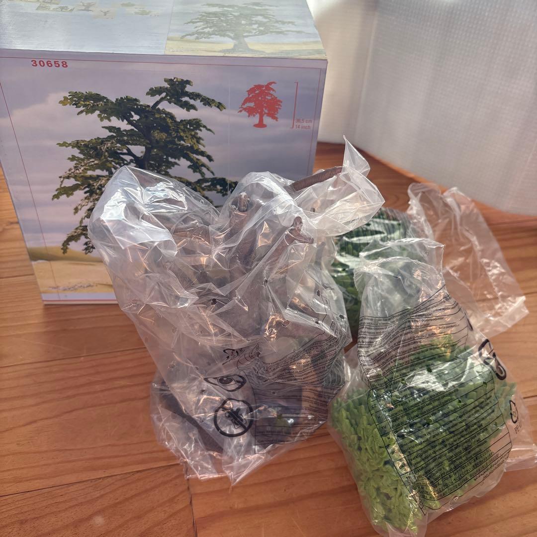 シュライヒ　サファリ　ブナの木　単品