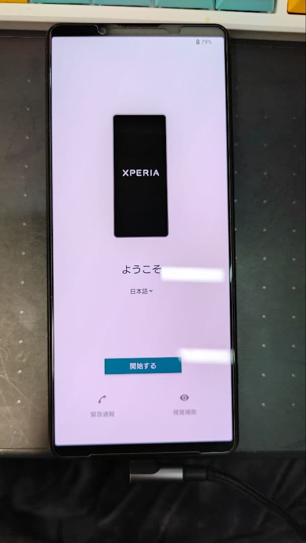 【訳あり・動作確認済】Xperia 1 V 256GB ブラック（おまけ付）
