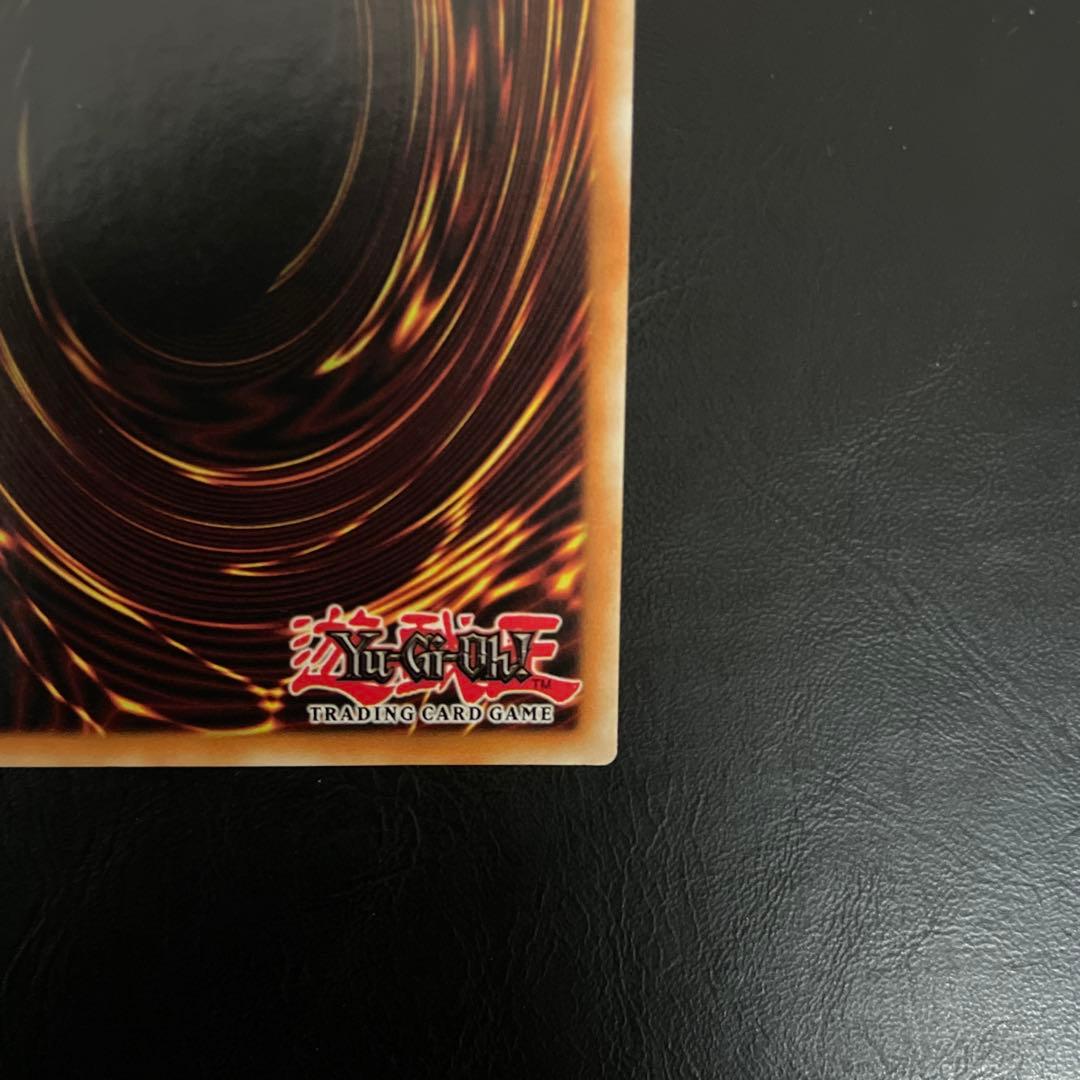 真紅眼の黒竜　ホロ　ゴーストレア　英語　1st