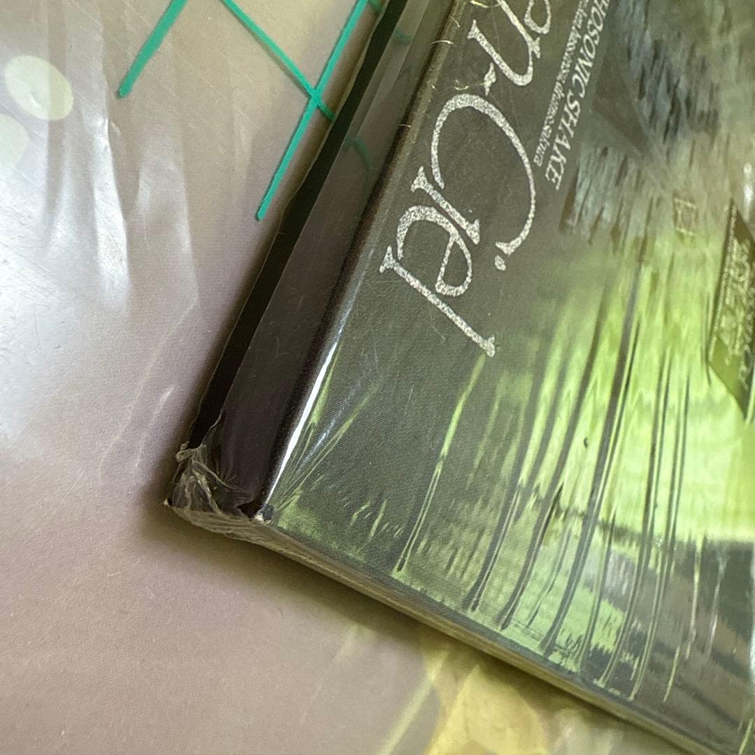 新品未開封 1993年版 通販限定版 DUNE ラルク L'Arc