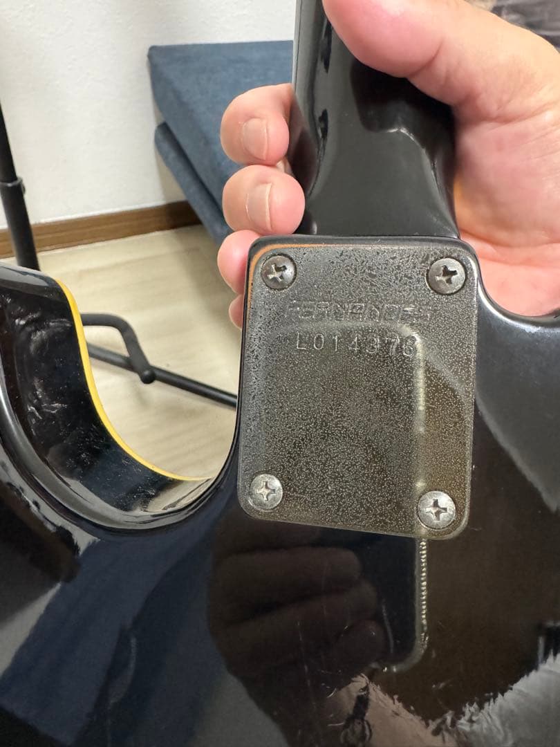 FERNANDES TEJ-75　白文字F.G.I