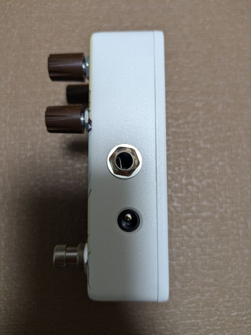 Animals Pedal Custom Illustrated 爆衣過載