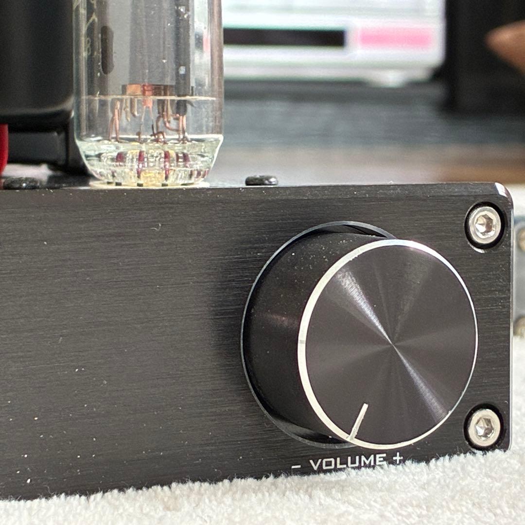 【美品】FX-AUDIO TUBE-P01J（保護ケージ ACアダプタ付）＋α