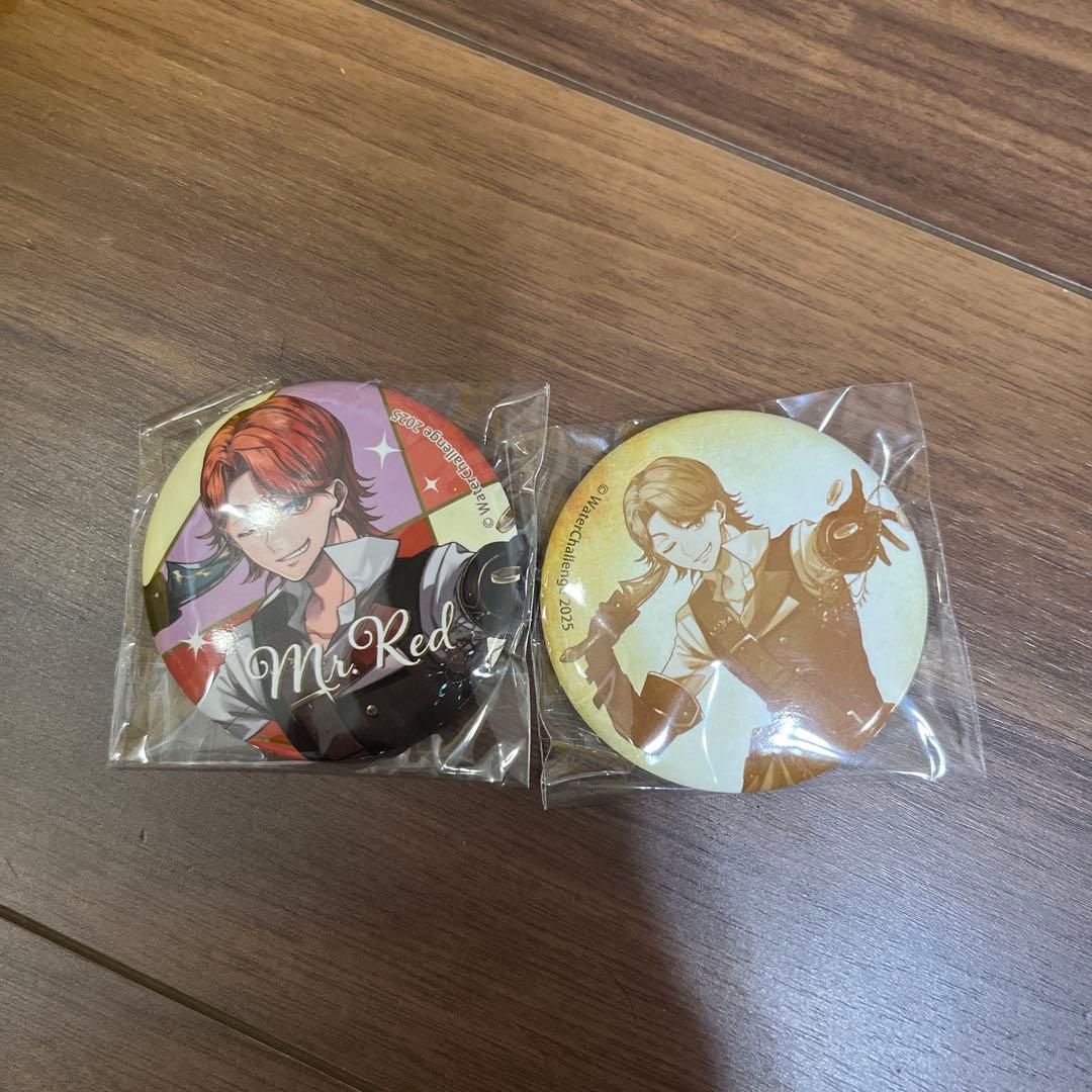 ウォーターチャレンジ　ドリーミーくじ　缶バッジまとめ売り