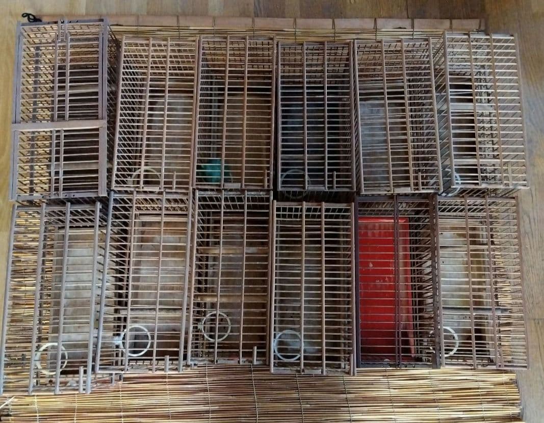 昭和　日本製　鳥かご　メジロ籠　12個セット　高さ17センチ