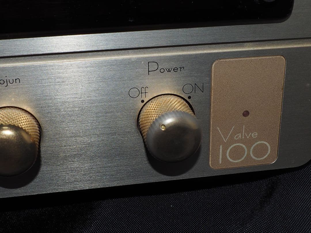 東京サウンド Valve 100　結構手を入れた整備品