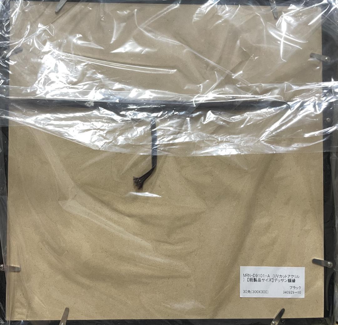 【新品未使用】 お文具といっしょ 複製原画 No.9 海を背にポーズ