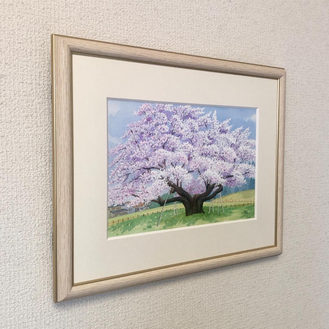 透明水彩画　原画　「根尾谷淡墨桜」額縁付　SMサイズ　風景画