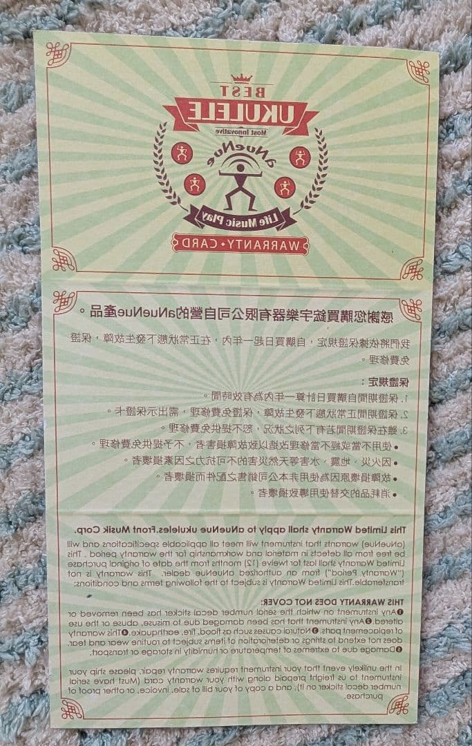 ★入手困難★aNueNue Bird L10　トップ シトカスプルース単板美品