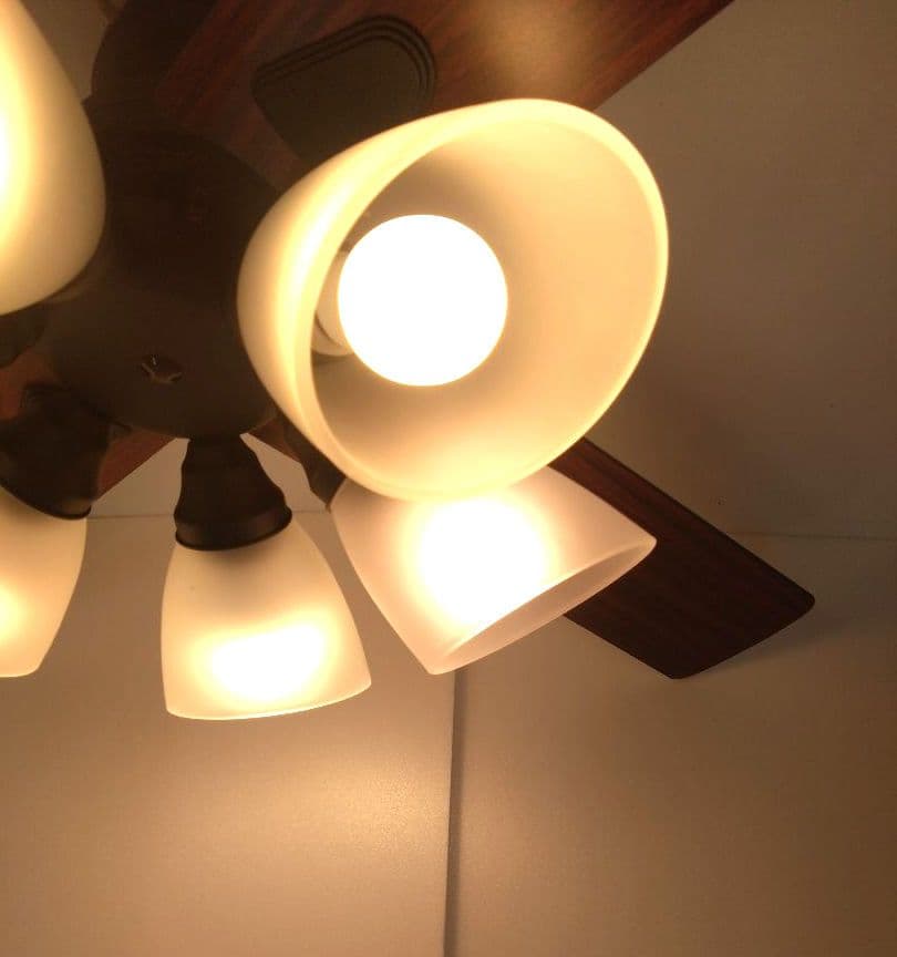 シーリングファン ウィンダブル 6灯 BIG-102 Windouble 阪和