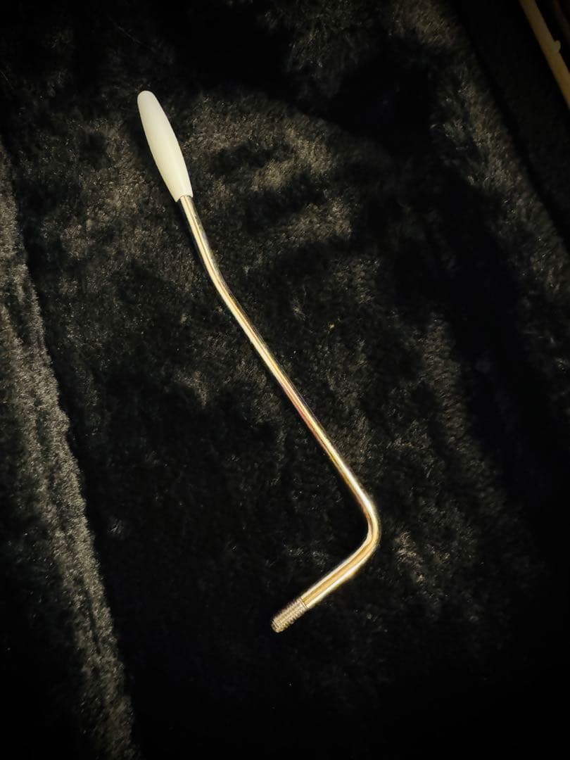 ギター FREEDOM CUSTOM GUITAR RESEARCH EZa 24f