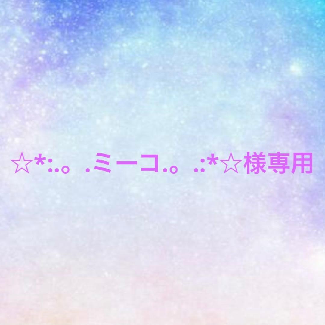 ☆*:.。.ミーコ.。.:*☆/ハンドメイドビーズチャーム