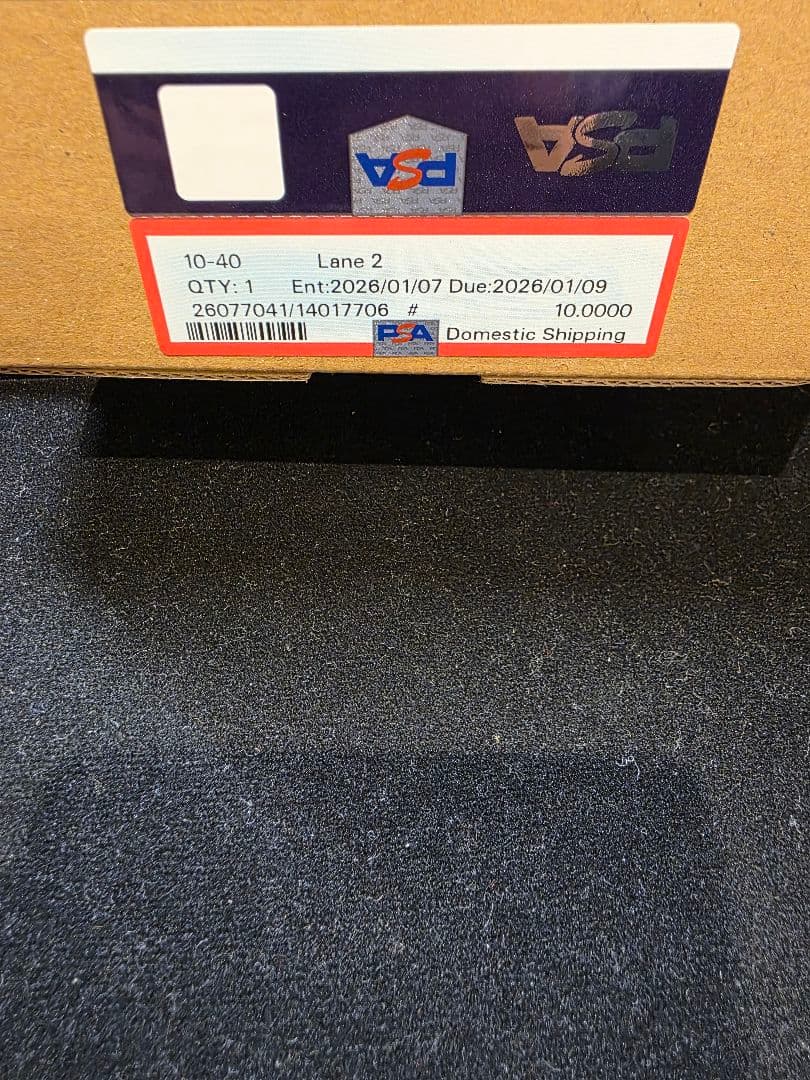 PSA9 メガゲンガーex SAR 240/193 鑑定自分で出しました