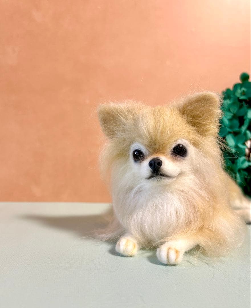 羊毛フェルト　おすましチワワちゃん　クリーム