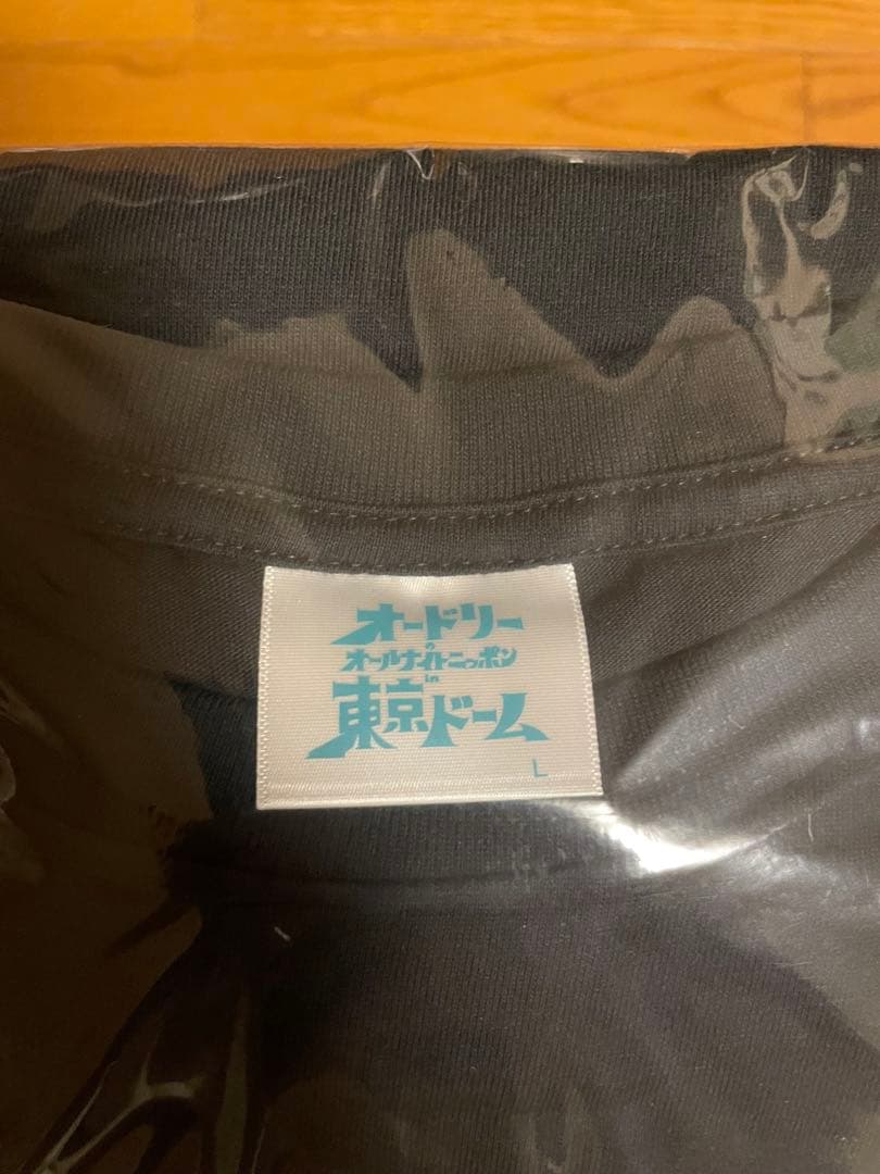 オードリーのオールナイトニッポンin 東京ドーム ビッグシルエットTシャツ　L