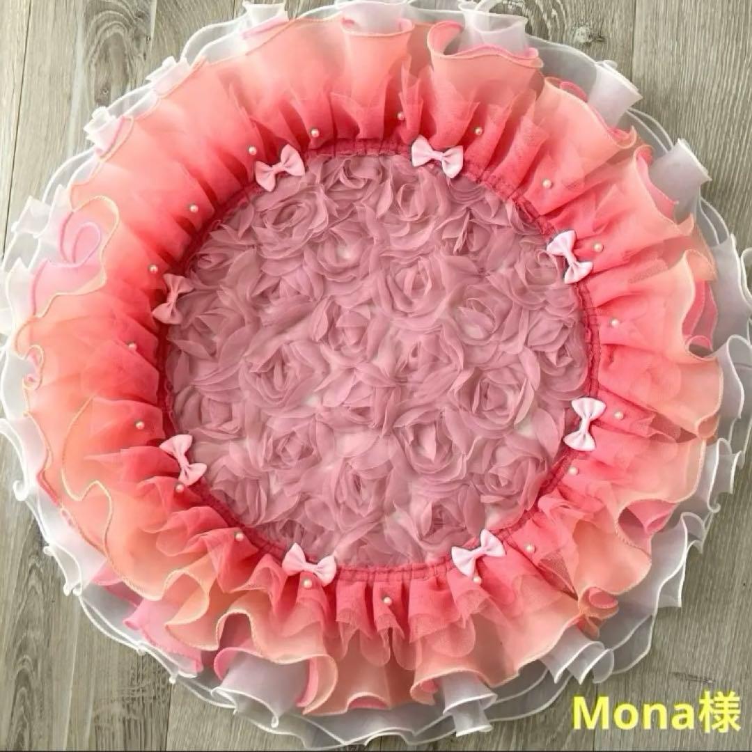 Mona様✨️御専用カフェマット(2枚)
