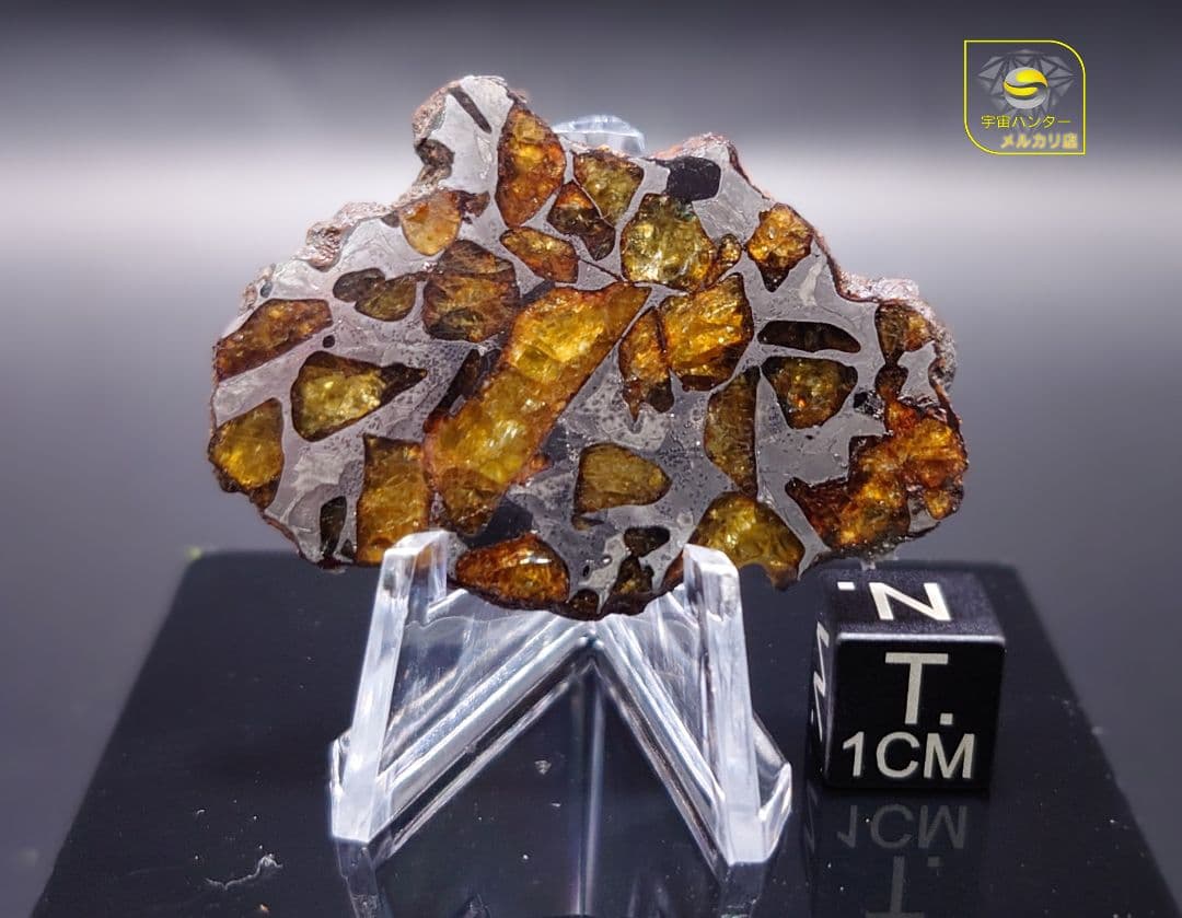 ⭐️11.3g イミラック パラサイト 隕石 Imilac