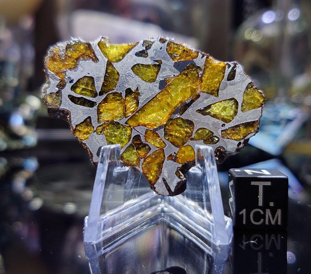 ⭐️11.3g イミラック パラサイト 隕石 Imilac