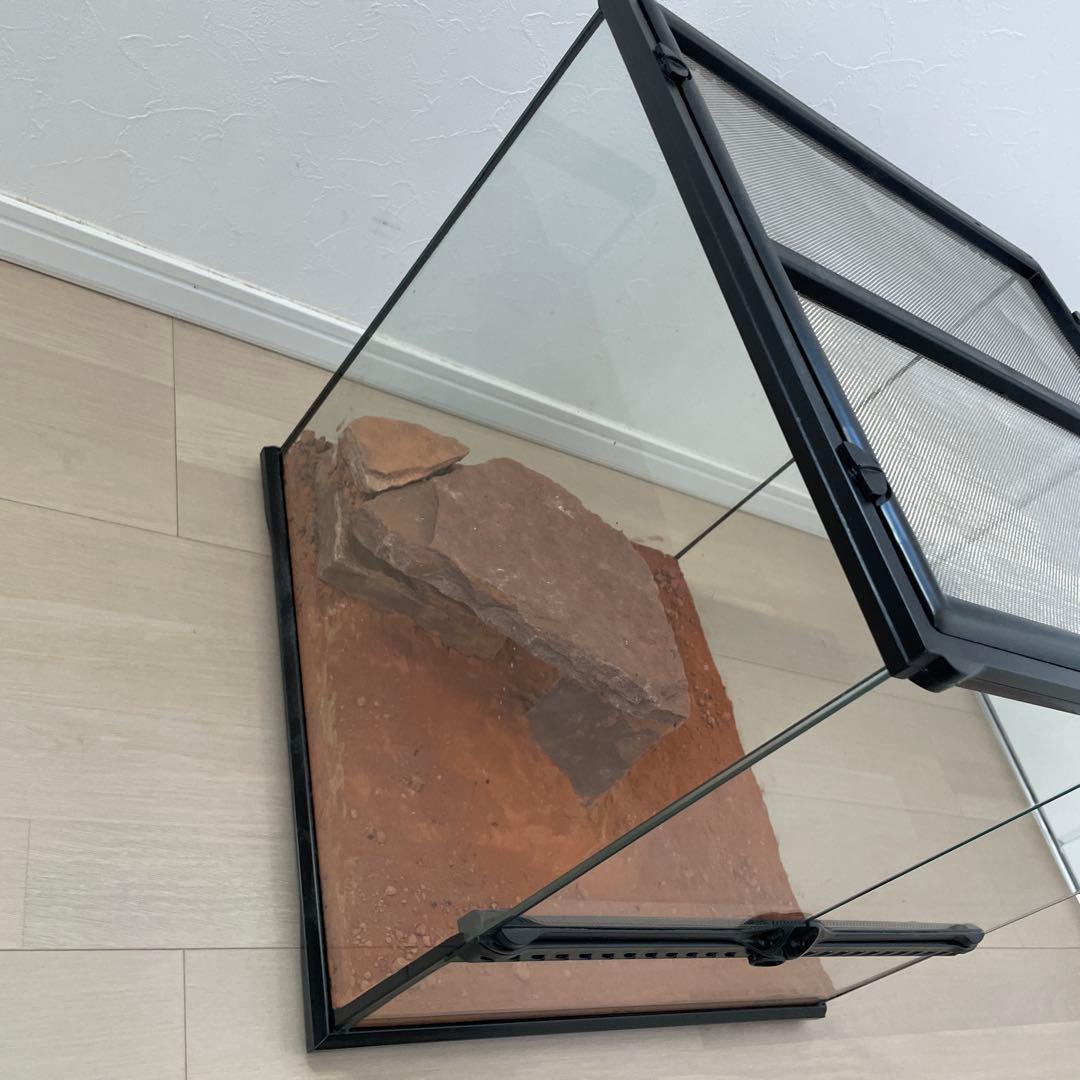 グラステラリウム　4545 エキゾテラ　飼育　ケージ　爬虫類　両生類　レイアウト