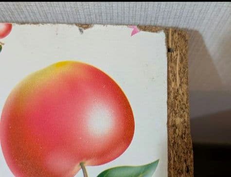 激レア！ハローキティ　フリーボックス　ロング　フルーツ柄　サンリオ　2002年