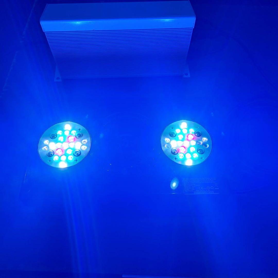 エコテックマリン　Radion XR30　G3PRO