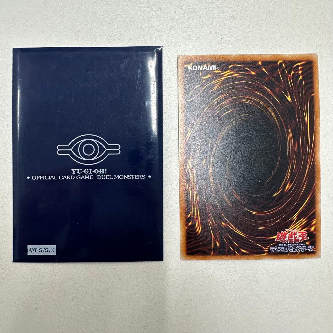 遊戯王　真紅眼の黒竜　レッドアイズブラックドラゴン　レリーフ　301-056