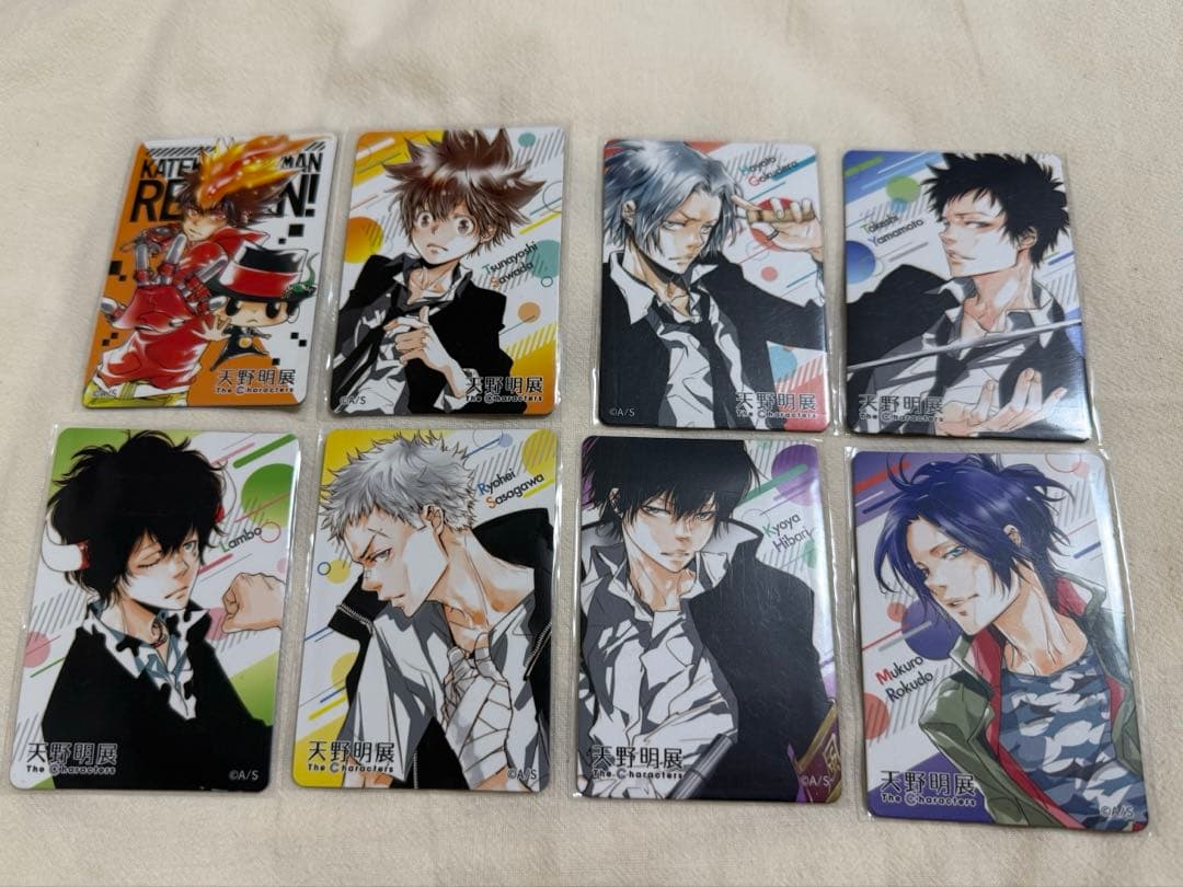 家庭教師ヒットマンREBORN! マグネットステッカー 全種セット