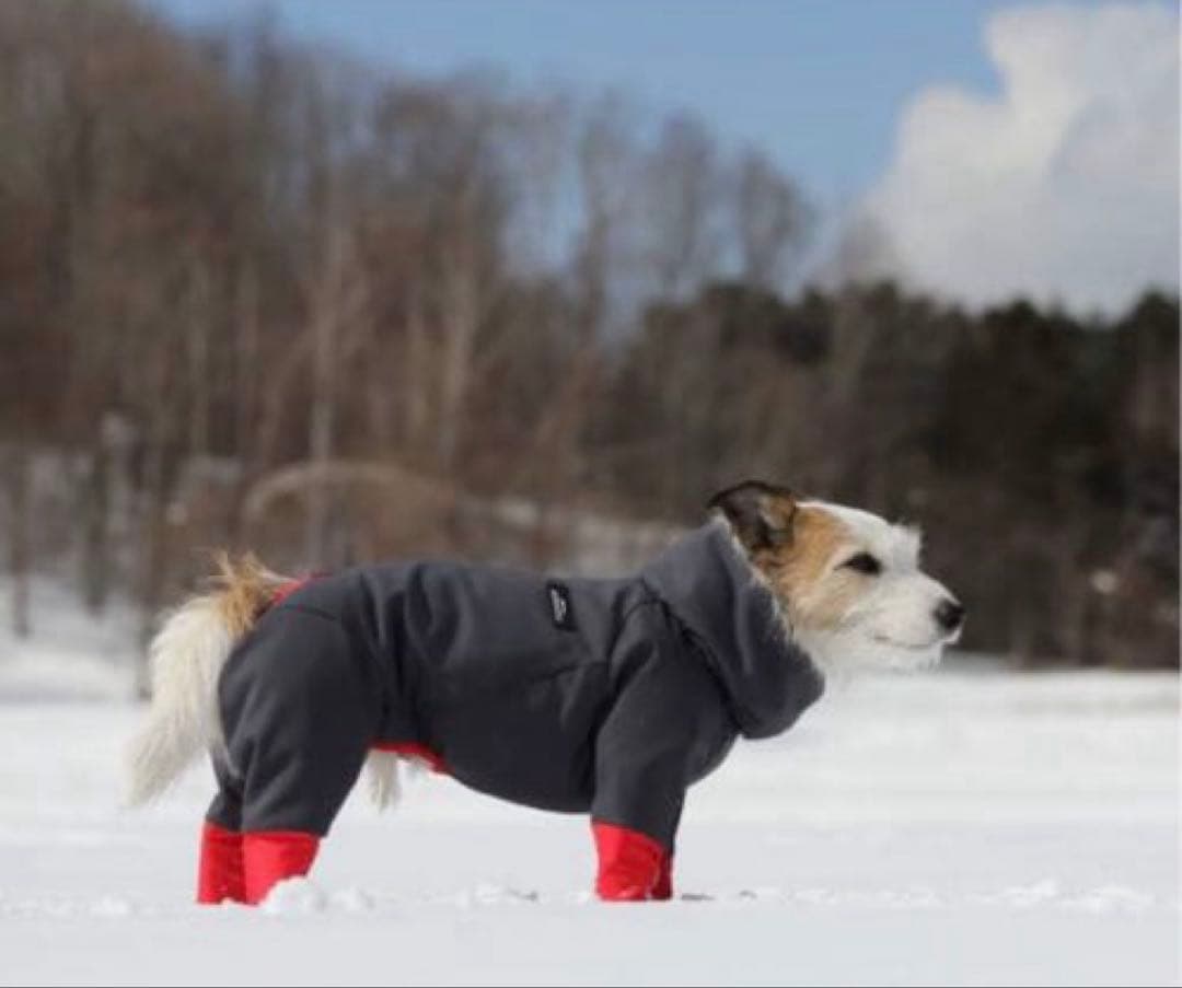 アルファアイコン　ドッグガードエア　1Lサイズ