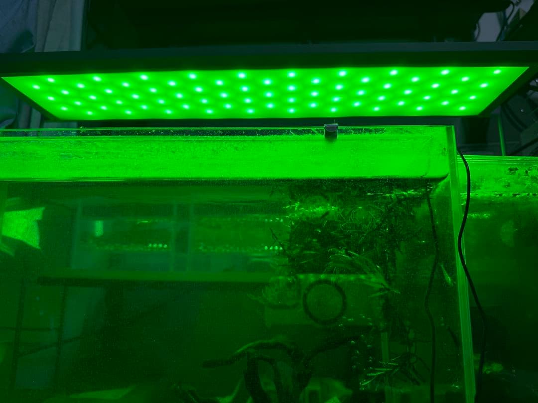 ADA アクアスカイ RGB II 60 水槽用照明