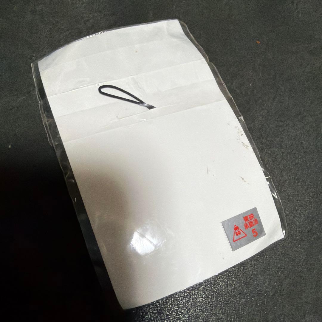 お値下げ［激レア］吉川晃司　ミニミニ兄貴キーホルダー（仮面ライダーWピック付き)