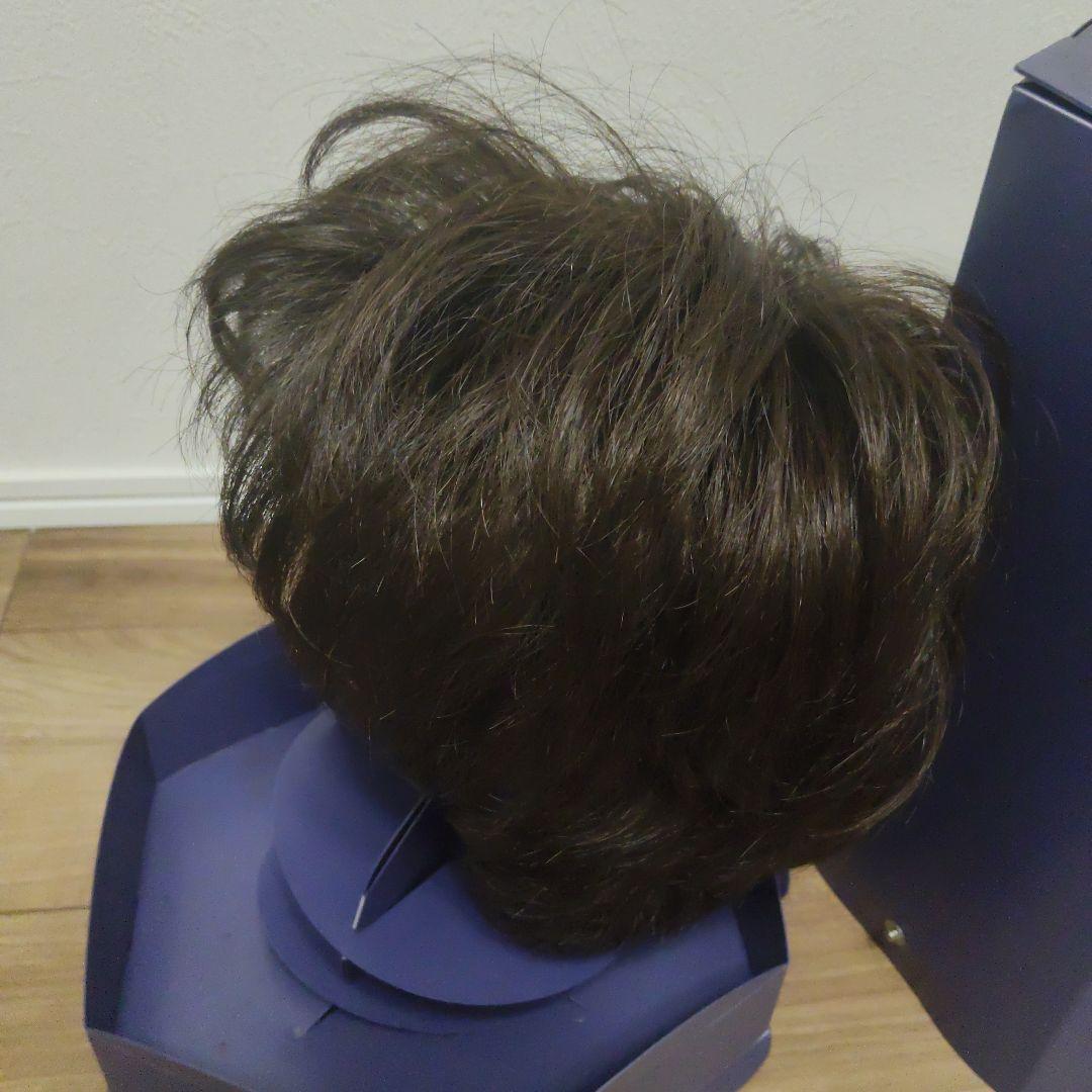 フォンテーヌ　ウィッグ　ＶＭ44 F4