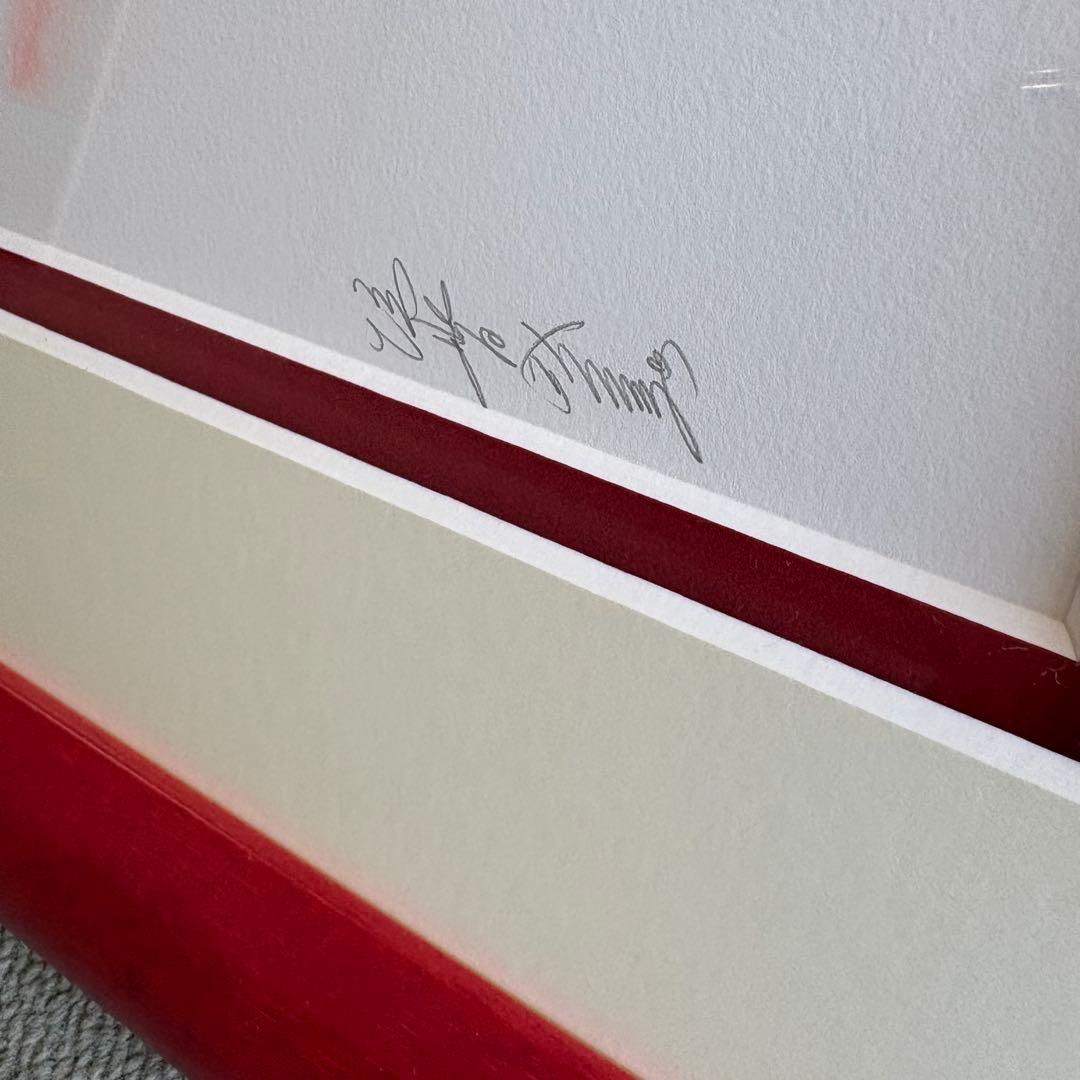 垣野内成美 燐花〜吸血姫美夕〜 リトグラフ 直筆サイン 150部限定 額装 美品